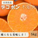 みかん 柑橘類 デコポン 令和9年 糖度が高すぎッ