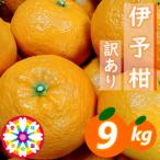 愛咲果樹園 伊予柑 訳あり 約9kg