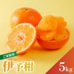 宮内伊予柑 サイズ混合 約5kg