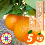 愛咲果樹園 プリンセス 愛果48号 紅プリンセスと同品種