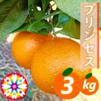 愛咲果樹園 まどんな 約3kg