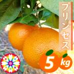 愛咲果樹園 プリンセス 愛果48号 紅プリンセスと同品種 約5…