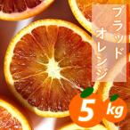 愛咲果樹園 清見 約5kg