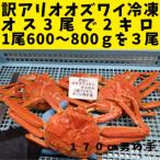 訳あり オオズワイガニオス浜ゆで 約600-800g