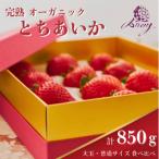 オーガニック生いちご とちあいか 大玉 普通サイズ食べ比べ…
