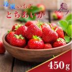 冷凍いちご とちあいか 450g×1パック