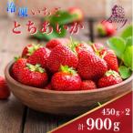 冷凍いちご とちあいか 450g×2パック