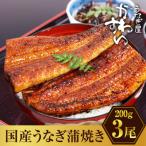大きい うなぎ蒲焼3尾セット 総量600g以上