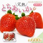 完熟とちあいか 約600g