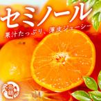 ジューシー柑橘 セミノールオレンジ 5kg