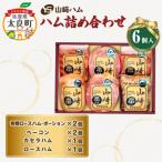 山崎ハム ハム詰め合わせ 布巻ロースハム