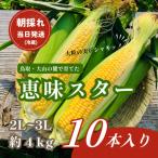 大山スイートコーン10本 2L~3Lサイズ 約4kg