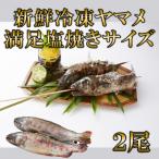 新鮮冷凍ヤマメ塩焼きサイズ約100g×2尾