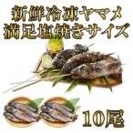 新鮮冷凍ヤマメ塩焼きサイズ約100g×10尾