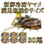 新鮮冷凍ヤマメ塩焼きサイズ約100g×30尾