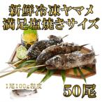 新鮮冷凍ヤマメ塩焼きサイズ約100g×50尾