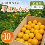早生みかん S~Mサイズ中心 約10kg