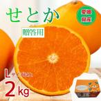 せとか 2kg