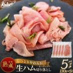 生ハム切り落とし 5パックセット