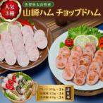 ZL-3 山崎ハム チョップドハム増量セット 計9本