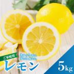 イエローレモン 約5kg
