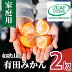 訳あり せとか 和歌山 有田 2S~3Lサイズ混合 約2kg