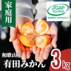 有田みかん 3kg