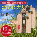 コシヒカリ 精米 10kg