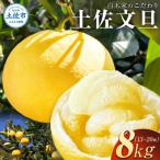 白木屋のこだわり土佐文旦 約8kg