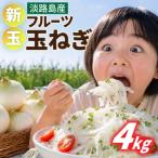 fu.... налог Hyogo префектура [ предшествующий предварительный заказ ] новый шар фрукты шар лук порей 4kg[ размер различный ] *2027 год 3 месяц сверху ... последовательный отправка 
