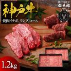 神戸牛 名店焼肉 イチボ ランプ ロース 1.2kg