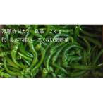 訳あり品 万願寺甘とう 2kg