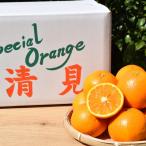 清見 約5kg