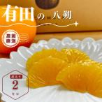 木成り八朔さつき 2キロ
