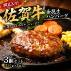 網目入り 佐賀牛合挽生ハンバーグ 3個セット 140g×3p