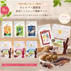 羅漢果ちょこ らかんかバランス3本入4種