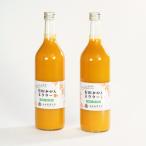とろり みかんネクター 720ml×2本