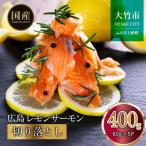 サーモン 詰め合わせセットE 約600g
