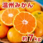 温州みかん約7kg
