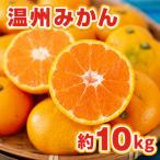 温州みかん 約10kg