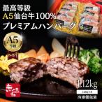無添加 100%プレミアムハンバーグ 1.12kg