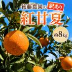 訳あり 後藤農園の紅甘夏 約8kg