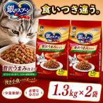 銀のスプーン 贅沢うまみ仕立て まぐろ かつお