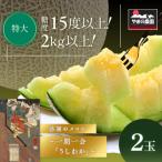 やまの農園 感謝のメロン~一期一会 うしわか 約2キロ以上