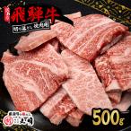 飛騨牛 焼肉 切り落とし 500g