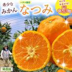 峰農園のハウスなつみ 約5kg