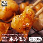 味付けホルモン 600g