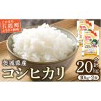 産コシヒカリ20kg 10kg×2