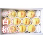 白桃 約4kg