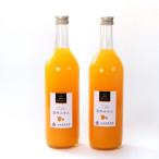 果汁飲料 みかん 無添加甘夏ジュース 約720ml×2本